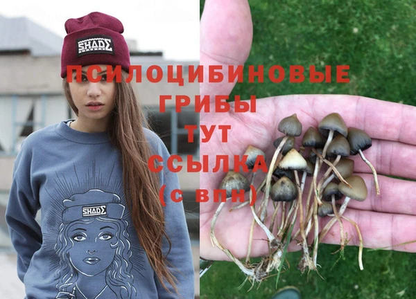 винт Кинешма