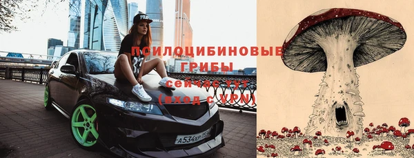 винт Кинешма