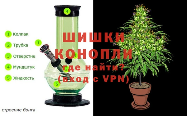 трава Киренск